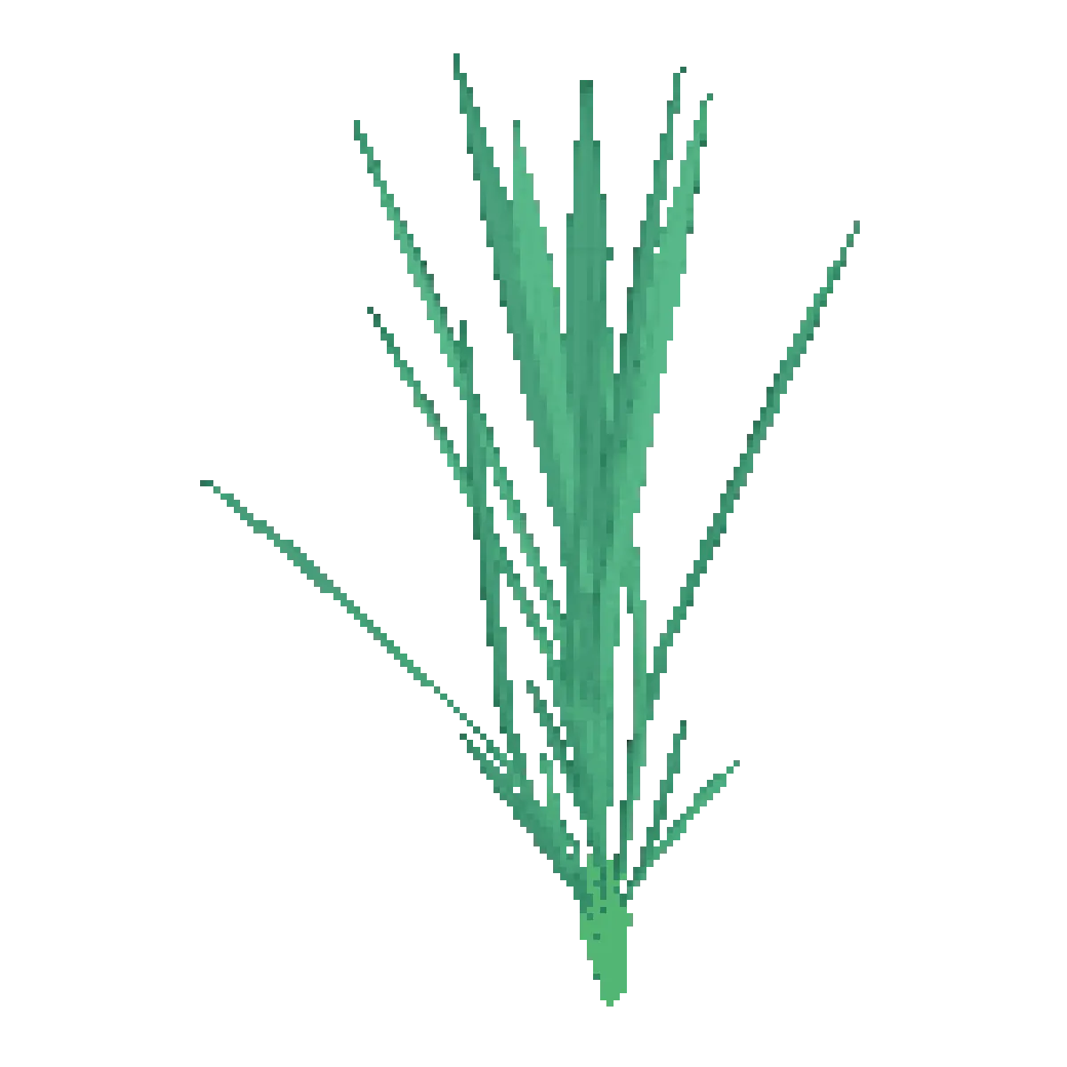 lemongrass