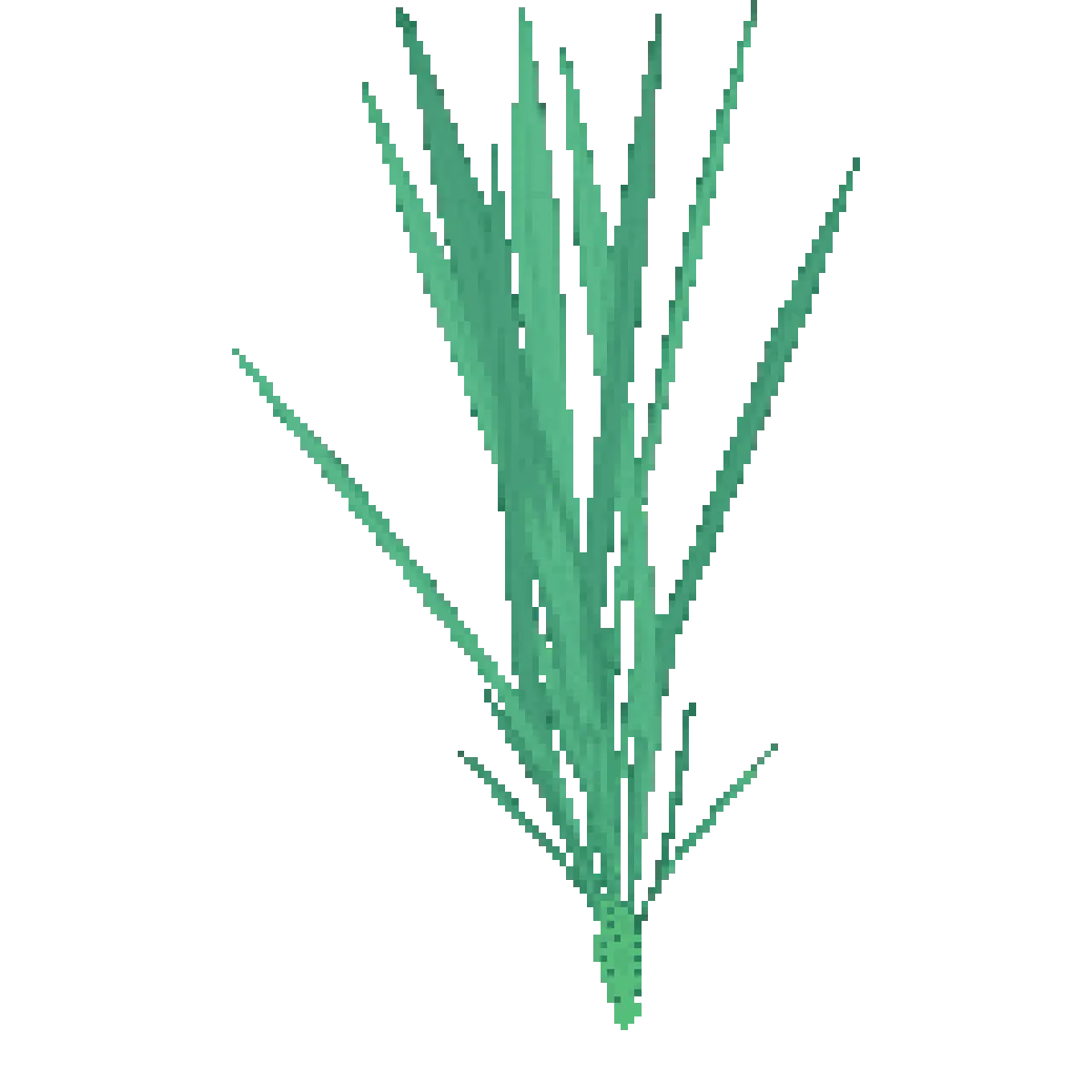lemongrass